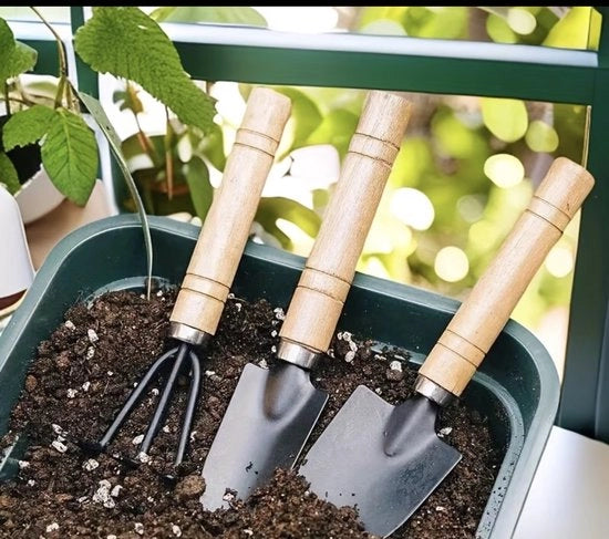 Set di attrezzi da giardino da 6 pezzi – Lancia, Forbici a mano e Spalatore di piante – Manico in legno – Compatto e duraturo – Per piante da giardino, balcone e camere