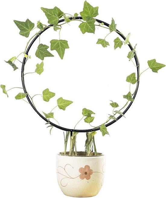 Supporto per piante in metallo per aiuto alla crescita per piante da appartamento e da giardino (rotondo)