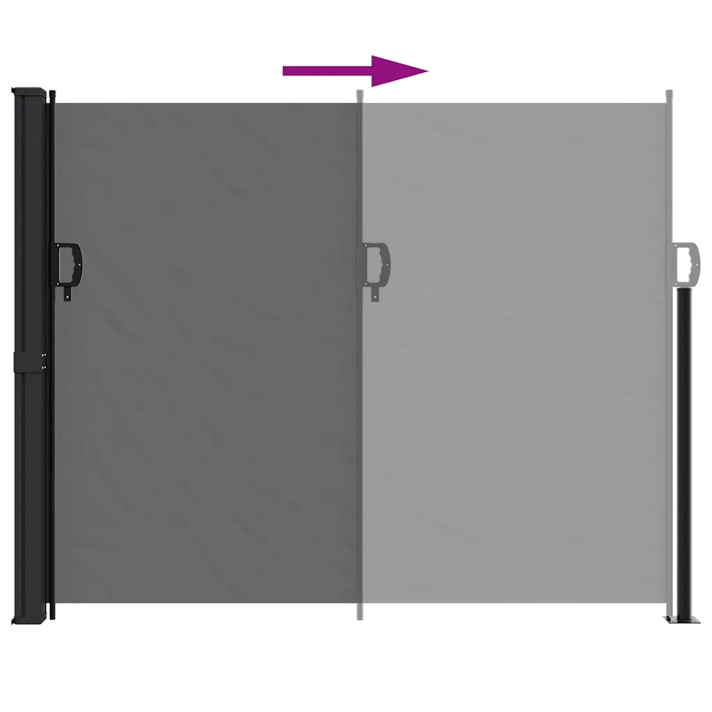 Tenda da sole laterale retrattile antracite 160x300 cm 4004323