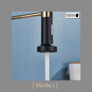 Bernd | Rubinetto Flessibile Catering Black Gold |da cucina in acciaio inossidabile|miscelatore può essere ruotato  360 gradi Alta pressione 2 porte