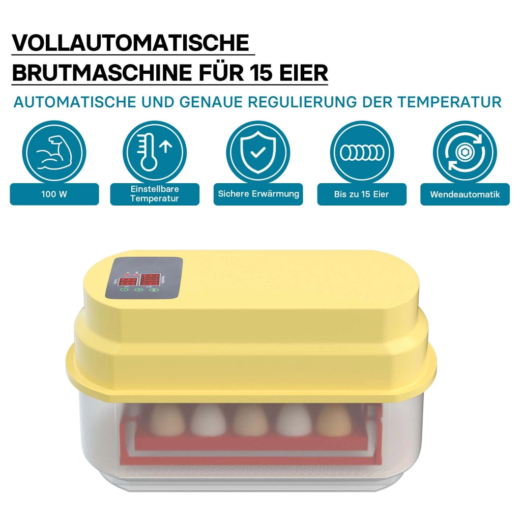 Incubatrice automatica per 15 uova, con regolazione temperatura e umidità, Covatrice