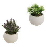 Trade Shop - Set 3pz Vasetto In Ceramica Bianco Rotondo Con Piantina Artificiale Assortita 8cm 164247 -