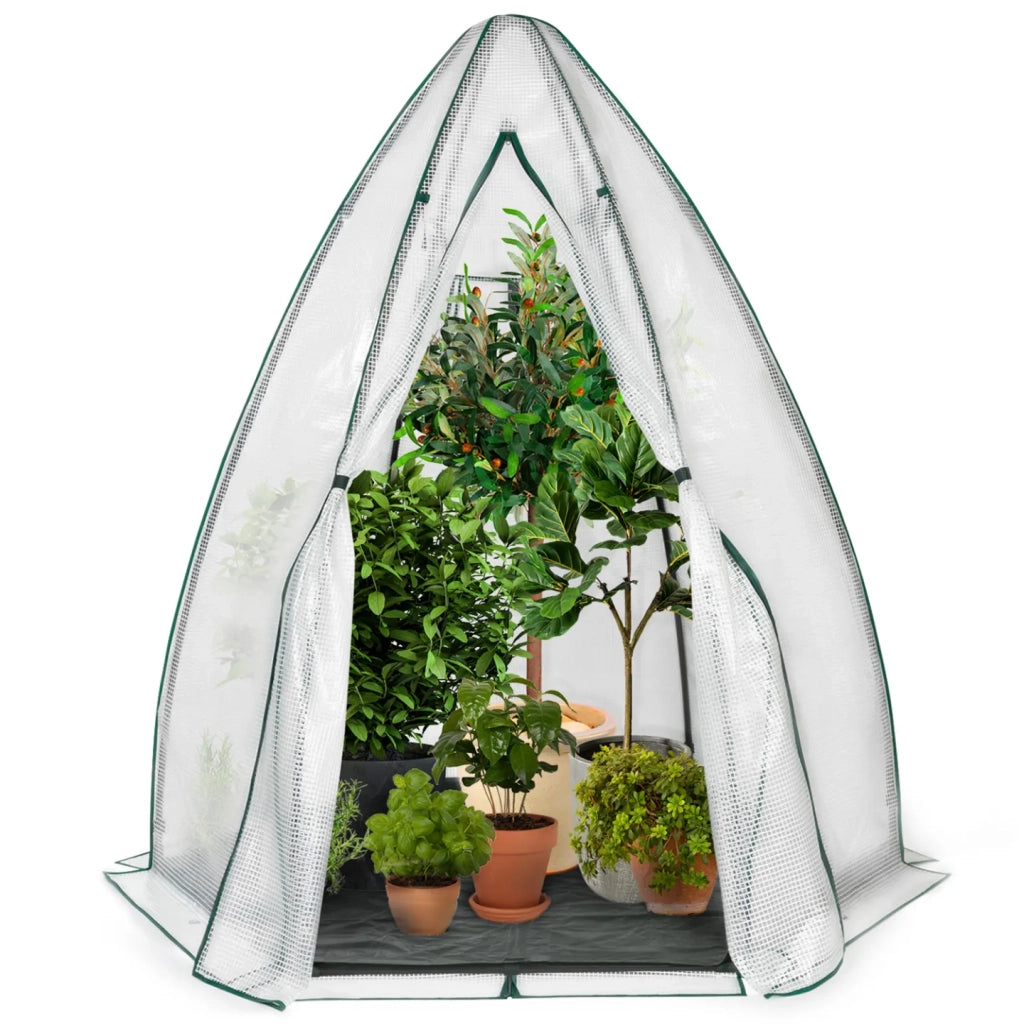 IDMarket - Serra a cupola per lo svernamento 160 x 160 x 180 CM