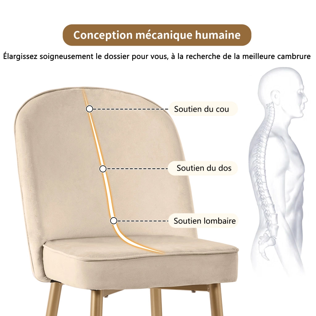 Sedia da pranzo in velluto, sedia con schienale ergonomico e gambe in metallo, Beige