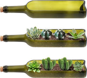 Vaso per Vino in Vetro con Piante - Bacinelle Decorative - 3 Pezzi - Ovale - Vetro Lucido - 32x7,1 cm