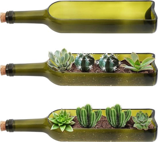 Vaso per Vino in Vetro con Piante - Bacinelle Decorative - 3 Pezzi - Ovale - Vetro Lucido - 32x7,1 cm