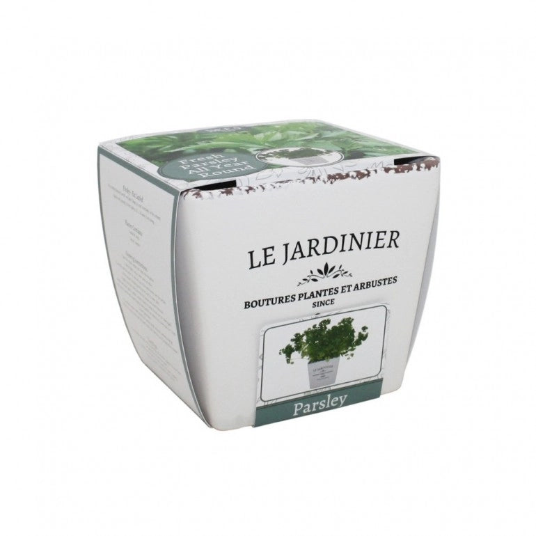Kit Coltivazione per il Prezzemolo, con vaso in ceramica, terriccio e semi