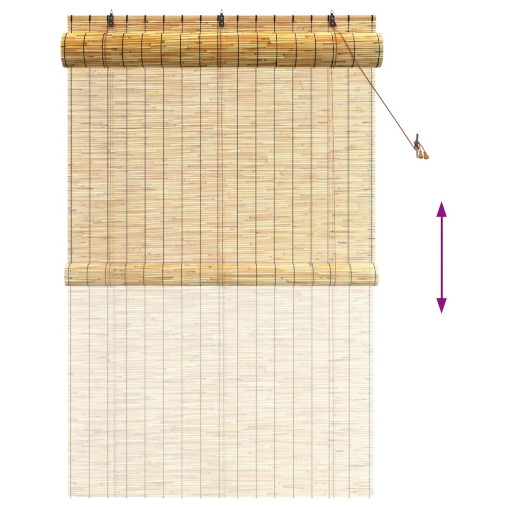 Tenda a rullo Naturale 140 x 220 cm Giunco 42034652