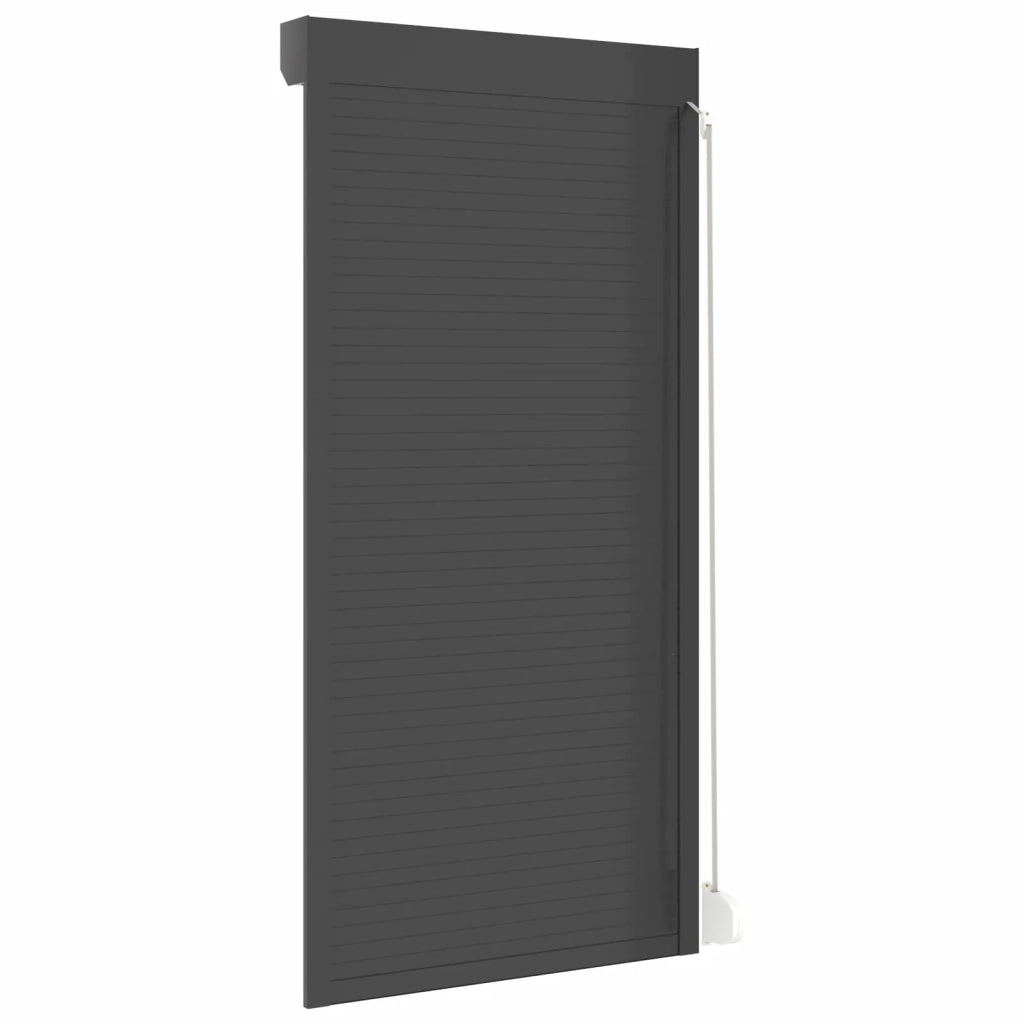 Persiana a rullo Antracite 100 x 210 cm Alluminio e poliuretano