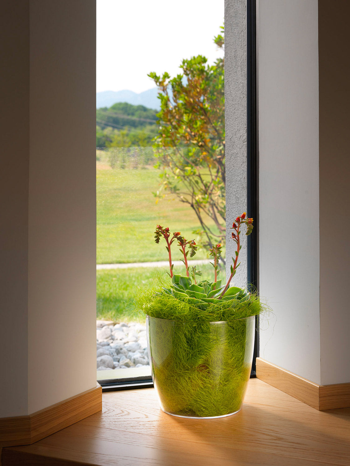 Vaso da Interno e Esterno Ø13,5x12,5 cm in Plastica Madeira 14 Trasparente