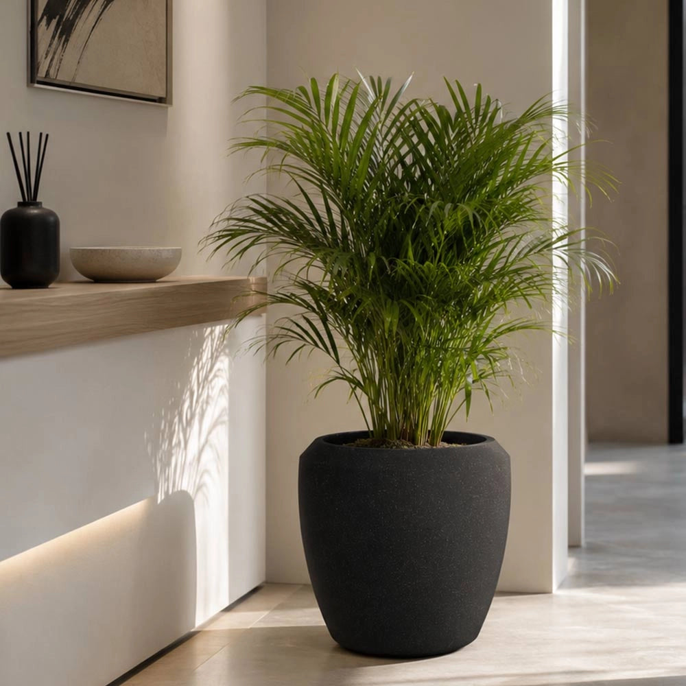 Vaso in plastica HDPE poliresina alta densità per piante Conchino Nero h 30,5