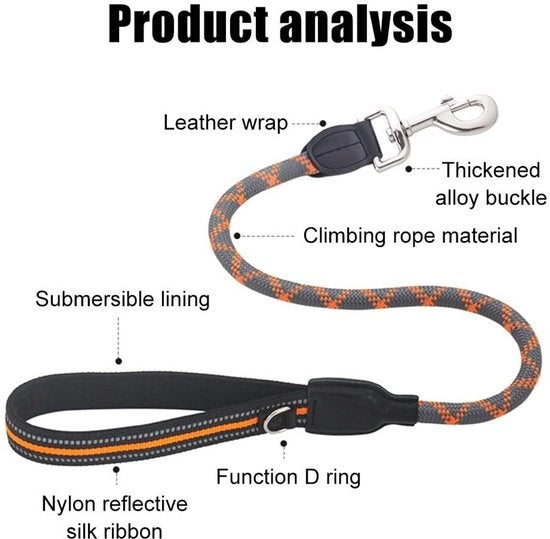 Cinturino per cani - Cinturino elastico in nylon - Maniglia rivestita - Fibre riflettenti - Anello D in metallo - Materiale resistente - Cinturino per cani
