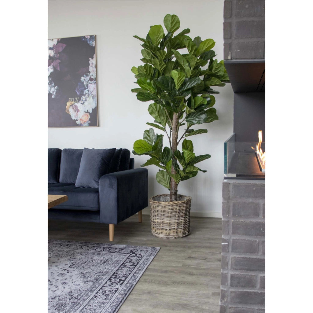 Pianta Artificiale Ficus Lyrata, Verde, Polietilene, 81x93x190 cm