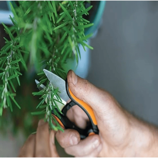 FORBICI PER ERBE AROMATICHE 'SOLID SP220' FISKARS 13 cm - FISKARS