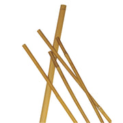 CANNA BAMBOO 24/26MM 210CM