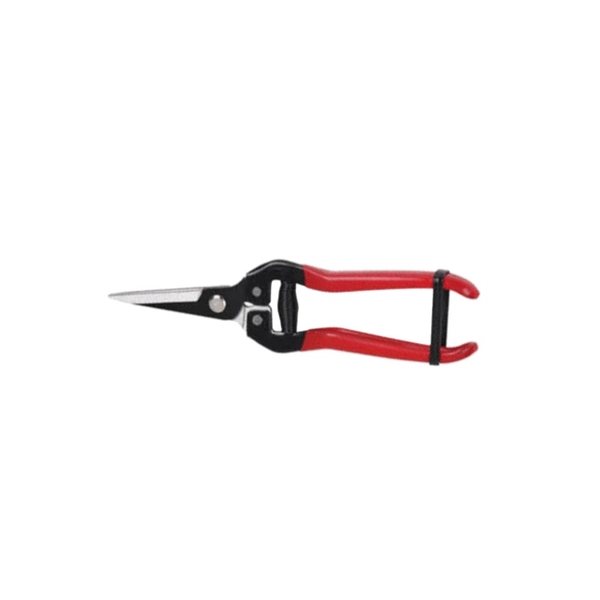FORBICI COGLIFRUTTA E ORTAGGI IDEAL STAR 19 cm - IDEAL STAR