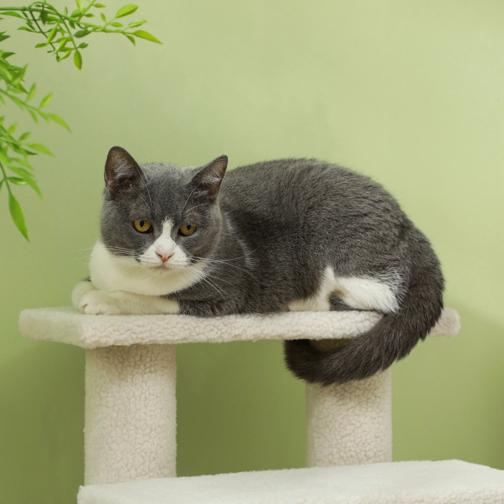 Scaffale a 4 gradini per cani e gatti in truciolare con rivestimento in peluche, bianco crema, 63,5 × 43 × 60 cm