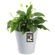 Vaso da fiori KADAX in plastica, rotondo, 30 cm, grigio