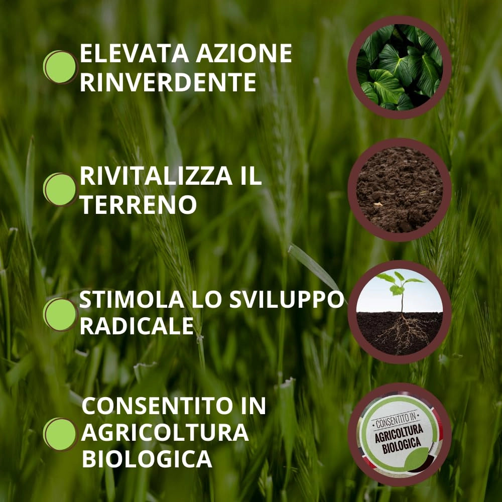 FISIOATTIVATORE BLACKJAK VITHAL BIO  ml.500    VITHAL