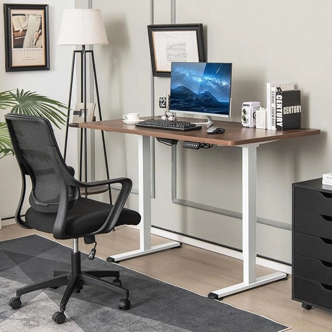 Scrivania Regolabile in Altezza, Scrivania Elettrica con 2 Motori con Memoria, Protezione Anticollisione e Vassoio per Cavi, Standing Desk per Casa e Ufficio, Portata 100 kg (Bianco)