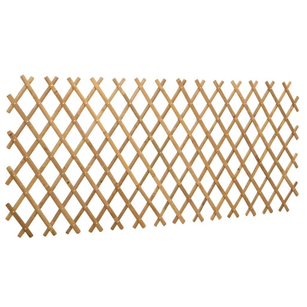 Recinto Trellis Espandibile 2 pz Marrone Chiaro 100 x 105 cm CFW9078196