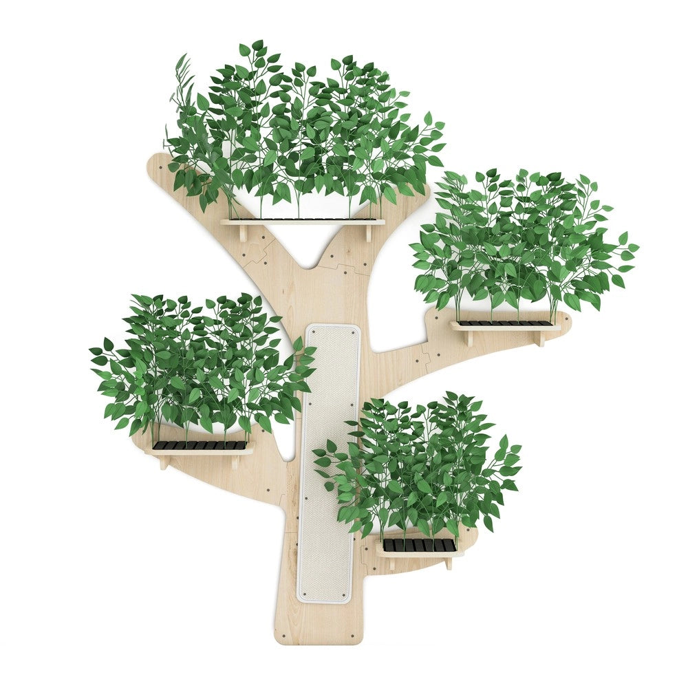 Albero graffiato per gatti - Zephmum- 155x210 cm- Pino massello con piattaforme