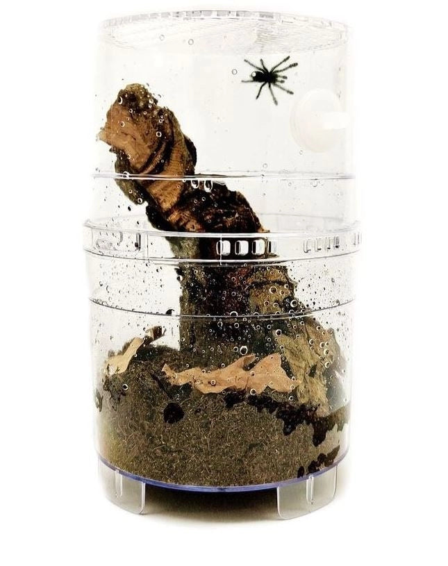 Lucky Reptile Critter Box cm6x11h