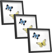 Set di 3 Cornice 3D per Foto da Muro Cornici 40x40cm per Oggetti Fino a 1,5cm, Cornici Fotografiche Multiple da Tavolo Portafoto Sospeso in Legno Passepartout Incluso, Nero