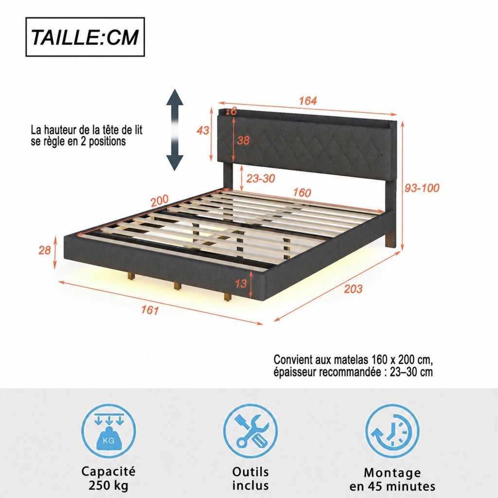 DESMIU Letto Matrimoniale 160 × 200 cm con USB, luce LED multicolore, contenitore, senza materasso, in tessuto grigio
