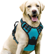Accessorio per cane | Anti-Scorrimento | Cane con Comando | Senza Trascinamento | Accessorio per cane Adattabile | Respirante | Strisce Riflettenti | Accessorio per cane al Petto | Sicuro | Guida Teal S