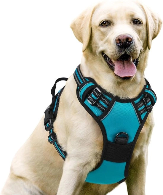 Accessorio per cane | Anti-Scorrimento | Cane con Comando | Senza Trascinamento | Accessorio per cane Adattabile | Respirante | Strisce Riflettenti | Accessorio per cane al Petto | Sicuro | Guida Teal S