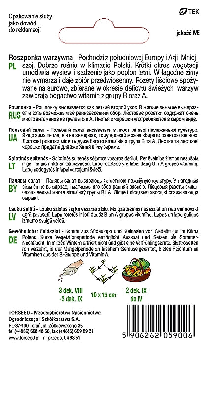 Insalata di verdure Verte de Cambrai 2g