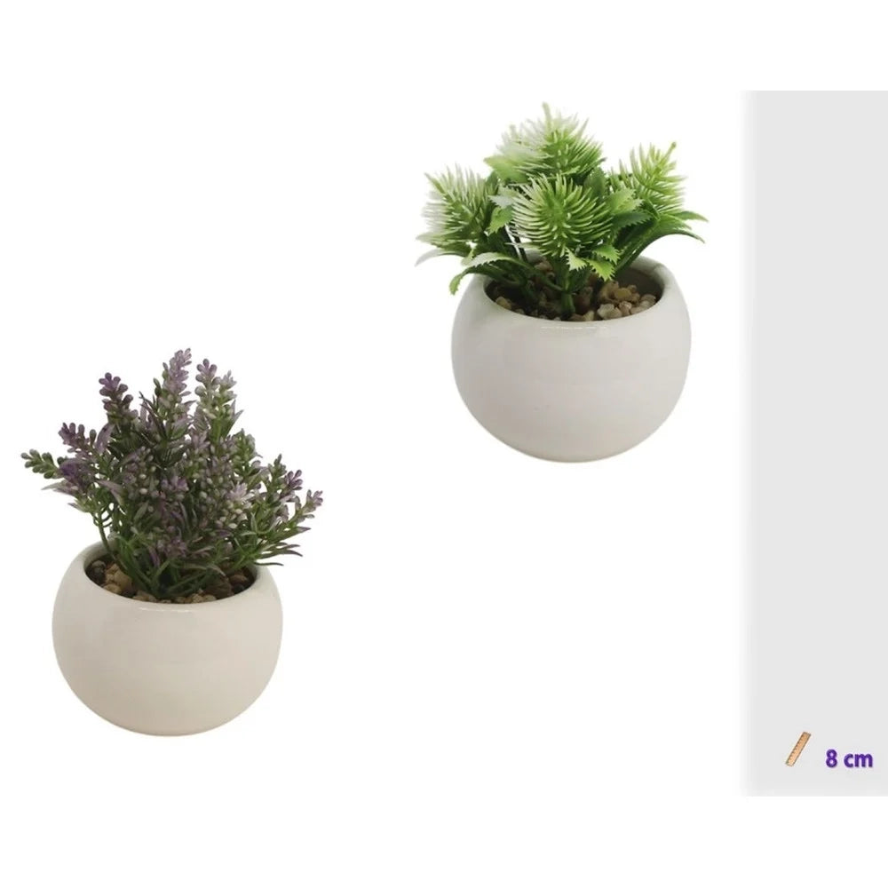 Trade Shop - Set 3pz Vasetto In Ceramica Bianco Rotondo Con Piantina Artificiale Assortita 8cm 164247 -