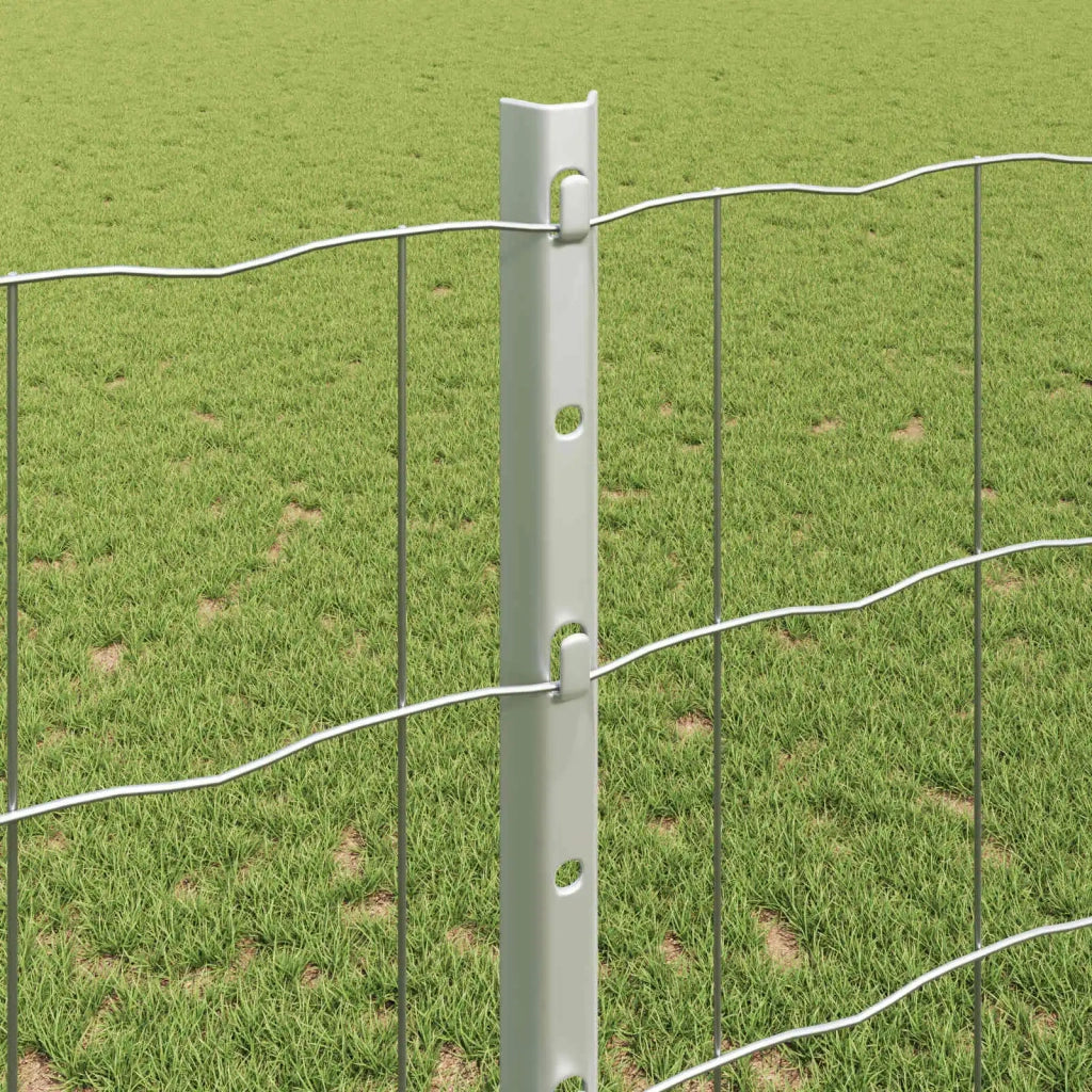 Recinzione Euro con palo 25 x 1,2 m Acciaio zincato Argento 3336200