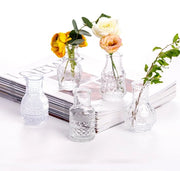 Set di Vasi Mini Transparenti da 5 pezzi in Vetro, Ideali per Decorazioni di Tavola, Matrimonio, Festa, Cena in Casa
