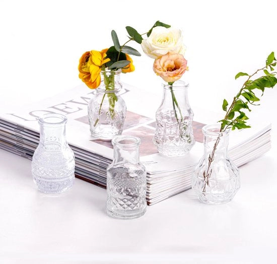 Set di Vasi Mini Transparenti da 5 pezzi in Vetro, Ideali per Decorazioni di Tavola, Matrimonio, Festa, Cena in Casa
