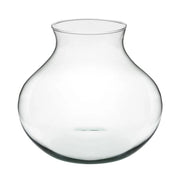 Terrario Bottle Garden Anfora per Terrario in vetro cm26x24h