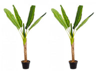 Set 2 Piante Artificiali di Banano Ø95x113 cm in Plastica con Vasi Verde