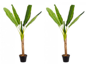Set 2 Piante Artificiali di Banano Ø95x113 cm in Plastica con Vasi Verde
