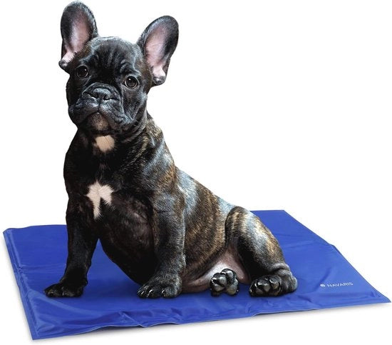 Matrice di raffreddamento per cani e gatti - Cuscino auto raffreddante per animali domestici - Regola la temperatura corporea e assicura comfort
