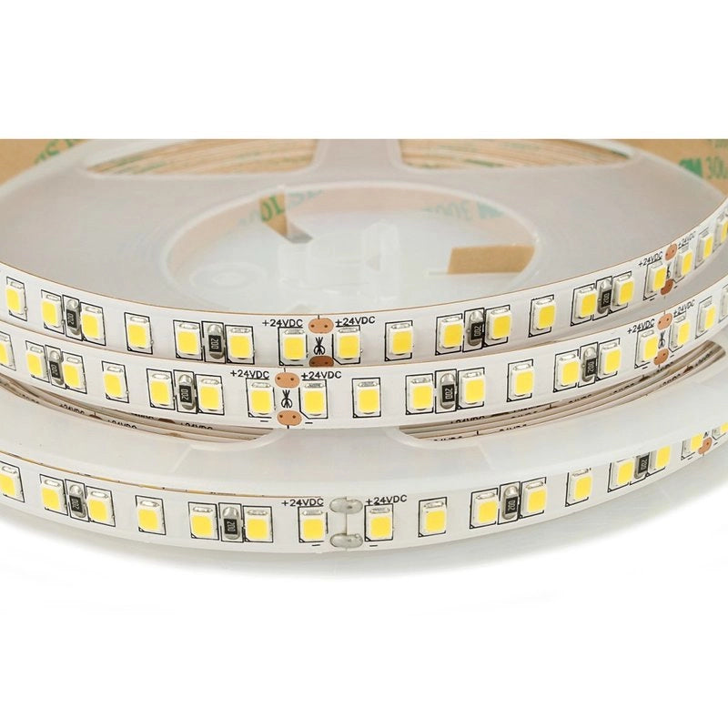 24V Bobina Striscia Led Da 10 Metri IP20 6000K 12W/M 1600 smd 2835 2000 LM/M Passo 8mm