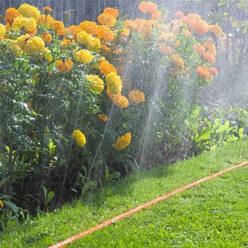 Tubo Piatto Microforato 25 Mt Irrigazione Giardino Piante Esterno con Connettore