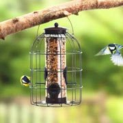 Nutrizione per uccelli selvatici: goditi gli uccelli in tuo giardino