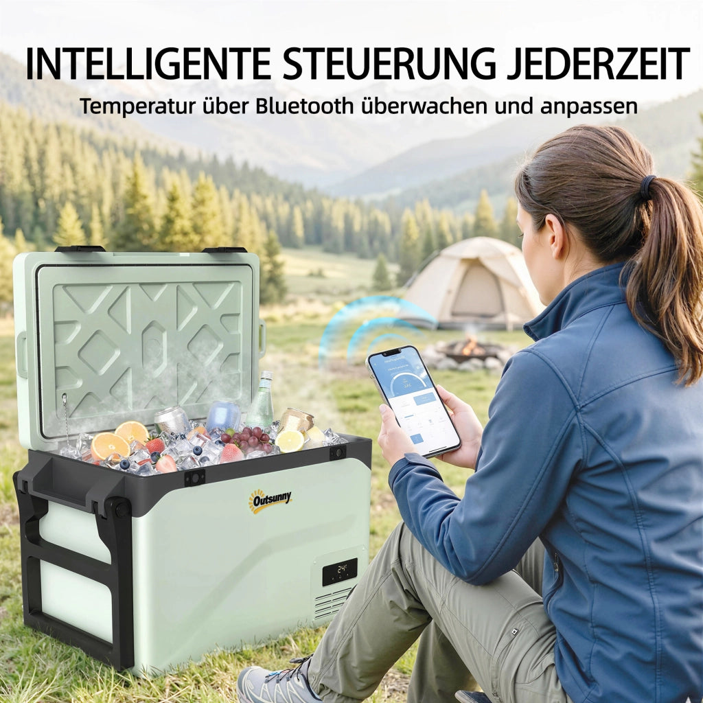 Frigo Portatile Elettrico 42,5L con Bluetooth ¨C Zephmum ¨C Grigio 45x35x45 cm