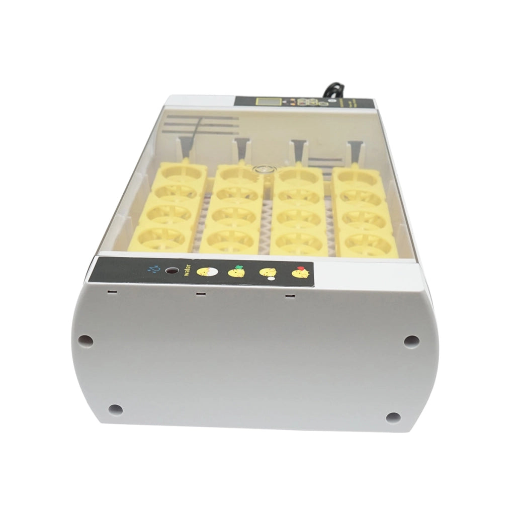 Incubatrice automatica per 24 uova, 60W, 220V, rotazione automatica, controllo della temperatura e umidità, display elettronico, vassoio illuminato a LED
