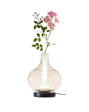 Lampada da Tavolo Crodo Cognac 7W LED Integrato CCT 2700K-3000K-4000K, Regolazione Luce al Tocco, Vetro Borosilicato e Metallo - Crodo