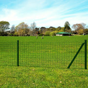 Recinzione Europea in Acciaio 25 x 0,8 m Verde