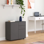 Comò Paarl con 2 Ante e 2 Cassetti 74x79x36 cm - Grigio Scuro Opaco [en.casa]