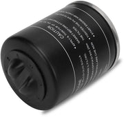 Filtro dell'olio per cambio per Adiva/Scooter - Filtro dell'olio del motore - Alta compatibilità - Metallo - Adatto per Euro 2/3 - Filtro dell'olio del motore