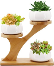 Vasi per Succulente in Ceramica con Supporto in Bambù per Piante di Cactus da Interno (Rondi)
